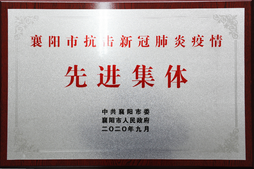 2020年襄阳市抗击新冠肺炎疫情先进集体